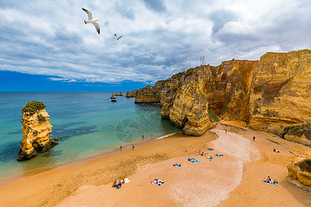 海滩 带有松绿的海水和悬崖 Portug 地中海 海浪图片