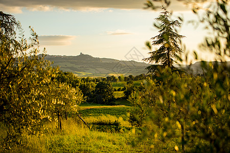 日落时在托斯卡纳田里的春天 草地 意大利语 日出 蓝色的图片