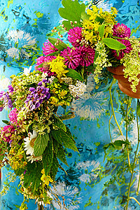 仲夏草甸花 女士 植物 传统 天 六月 温暖的 花环图片