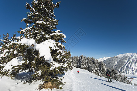 高山滑雪度假胜地的平板滑雪场上的滑雪者 活动图片