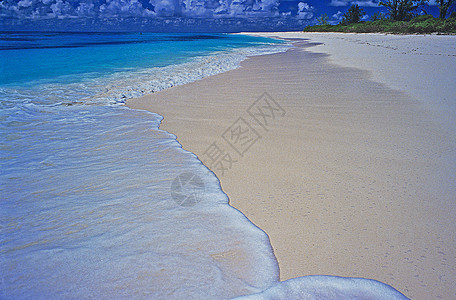孤独的海滩在鸟岛 席台图片