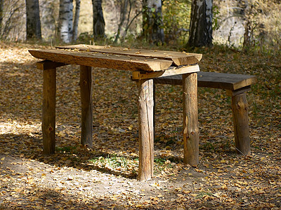 桌野野餐 树木 家具 叶子 假期 桌子 荒野 季节图片