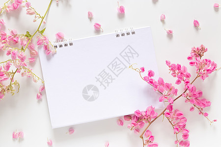 白色空白日历平面 复制空间装饰 粉色花朵与白色背景隔绝背景图片