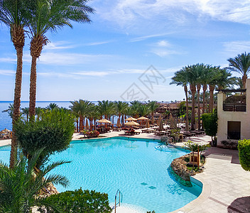 沙姆沙伊赫埃及的顺流水池和绿棕榈树 海滩 天蓝色图片