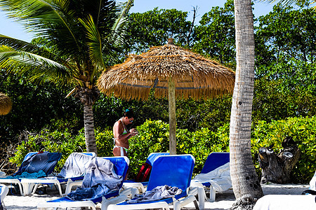 阿鲁巴岛 文艺复兴时期的岛屿 加勒比海 阳光明媚的海滩 白沙 椰子树和绿松石海 暑假 热带海滩和粉红色的火烈鸟 热带天堂 棕榈树图片