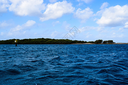 阿鲁巴岛 文艺复兴时期的岛屿 加勒比海 阳光明媚的海滩 白沙 椰子树和绿松石海 暑假 热带海滩和粉红色的火烈鸟 自然 假期图片