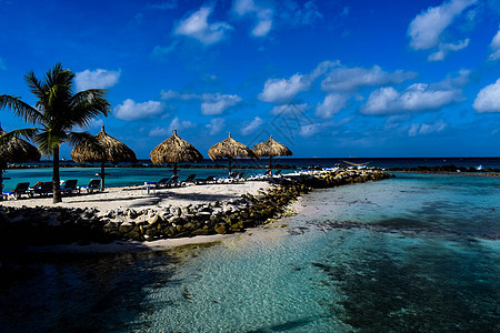 阿鲁巴岛 文艺复兴时期的岛屿 加勒比海 阳光明媚的海滩 白沙 椰子树和绿松石海 暑假 热带海滩和粉红色的火烈鸟 海洋 热带天堂图片