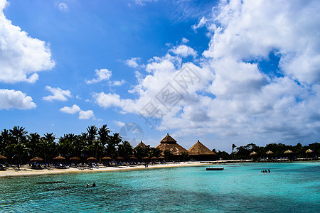 阿鲁巴岛 文艺复兴时期的岛屿 加勒比海 阳光明媚的海滩 白沙 椰子树和绿松石海 暑假 热带海滩和粉红色的火烈鸟 假期 天堂图片
