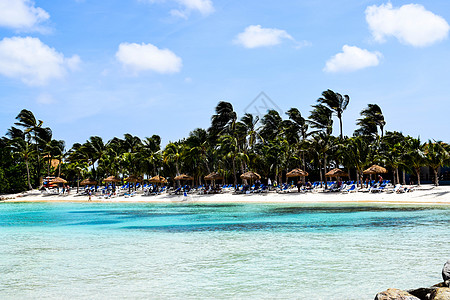 阿鲁巴岛 文艺复兴时期的岛屿 加勒比海 阳光明媚的海滩 白沙 椰子树和绿松石海 暑假 热带海滩和粉红色的火烈鸟 假期 异国情调图片