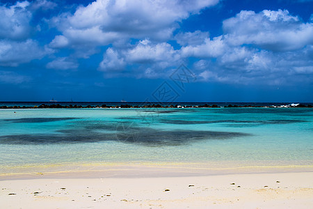 阿鲁巴岛 文艺复兴时期的岛屿 加勒比海 阳光明媚的海滩 白沙 椰子树和绿松石海 暑假 热带海滩和粉红色的火烈鸟 夏天 热带天堂图片