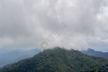 泰国北部有雾的复杂山坡风景 位于泰国北部 山脉 国家图片