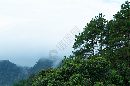 泰国北部有雾的复杂山坡风景 位于泰国北部 国家 美丽的图片