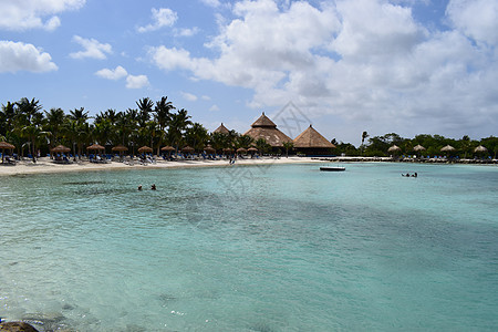 阿鲁巴岛 文艺复兴时期的岛屿 加勒比海 阳光明媚的海滩 白沙 椰子树和绿松石海 暑假 热带海滩和粉红色的火烈鸟 热带天堂 海岸图片