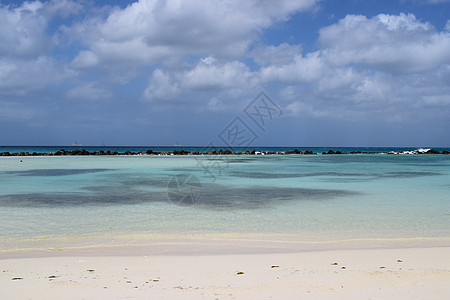 阿鲁巴岛 文艺复兴时期的岛屿 加勒比海 阳光明媚的海滩 白沙 椰子树和绿松石海 暑假 热带海滩和粉红色的火烈鸟 旅行 假期图片