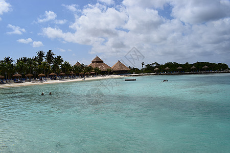 阿鲁巴岛 文艺复兴时期的岛屿 加勒比海 阳光明媚的海滩 白沙 椰子树和绿松石海 暑假 热带海滩和粉红色的火烈鸟 异国情调 棕榈图片