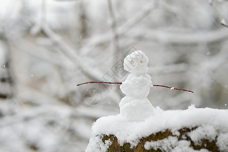 微小的雪人图片