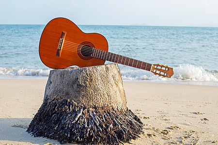 在美丽的夏天 吉他在沙滩上 娱乐 太阳 音乐家 热带图片