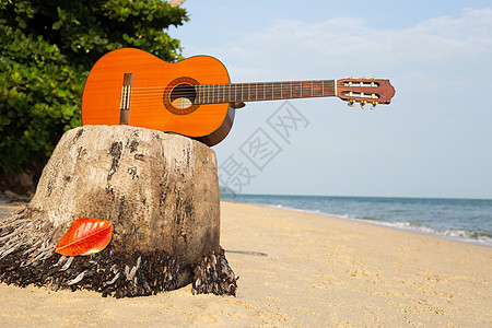 在美丽的夏天 吉他在沙滩上 玩家 木头 节日 水图片