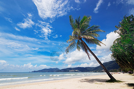 泰国普吉岛巴东的美丽热带夏季海滩的自然景观与棕榈树 夏季概念的假期和假期 美丽的热带海滩 蓝天背景下的海滩图片