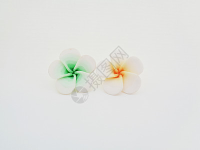 白色背景工艺用人造花 塑料 装饰品 植物 春天图片