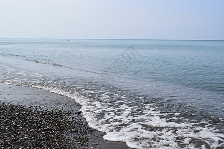 玛丽娜·德塞西纳 马里马 托斯卡纳 意大利 欧洲 夏天 浮木图片