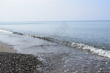 玛丽娜·德塞西纳 马里马 托斯卡纳 意大利 欧洲 松树 海岸线图片