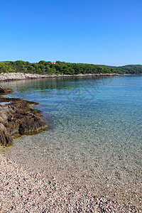 海滨和海山 松树 透明的 水 欧洲 绿松石 达尔马提亚 场景图片