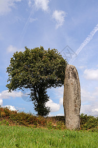位于法国布列塔尼的特大利石纪念碑 花岗岩 户外背景图片