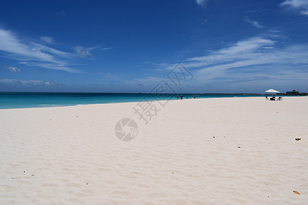 阿鲁巴海滩的全景 以白沙 棕榈树和绿绿水闻名 异国情调 天空图片