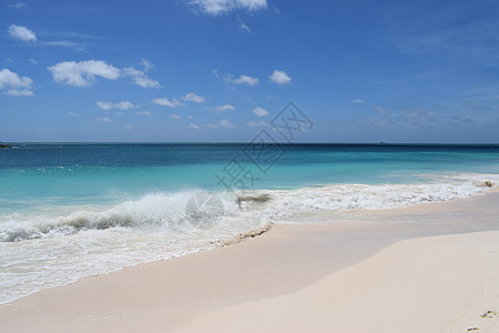 阿鲁巴海滩的全景 以白沙 棕榈树和绿绿水闻名 海岸图片