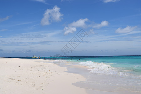 阿鲁巴海滩的全景 以白沙 棕榈树和绿绿水闻名 海洋 自然图片