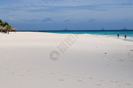 阿鲁巴海滩的全景 以白沙 棕榈树和绿绿水闻名 支撑 岛图片