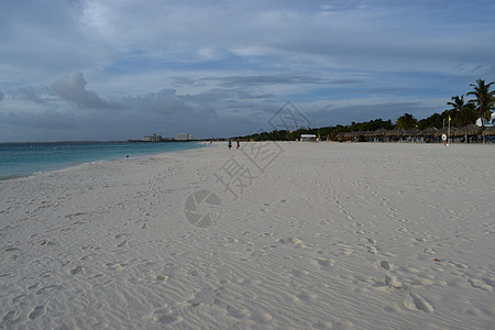 阿鲁巴海滩的全景 以白沙 棕榈树和绿绿水闻名 自然 加勒比图片