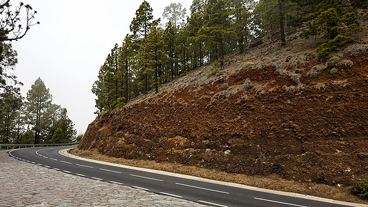 悬崖坡上一条光滑的道路 山上的松树林图片