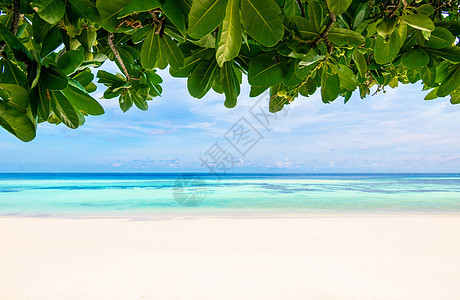 大海和清澈的水叶海滩有一个假期夏天放松和旅行明亮的天空 koh lipe 泰国 美丽的 帽子图片