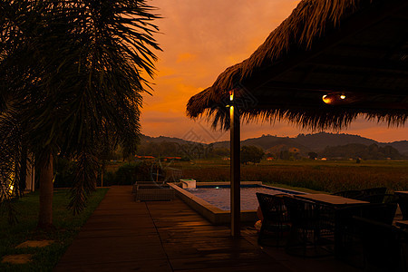 热带地区美丽的橙色炎热日落 草地旁边的街道树冠 俯瞰稻田 在泳池旁 水池 假期图片