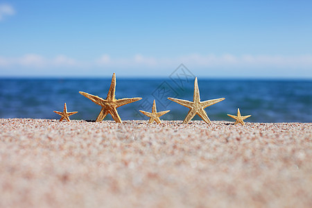 海星在海边 桑迪海滩有海浪 暑假概念 海边度假 甲板 假期图片