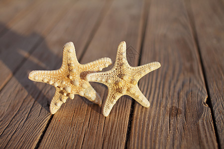 木头码头上的海星倒在木甲板上 暑假概念 海上假日 家庭假期 结婚戒指图片