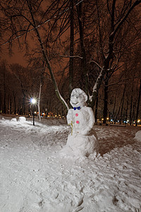 夜间公园雪人 有趣的 季节性的 天气 晚上 凉爽的 寒冷的图片