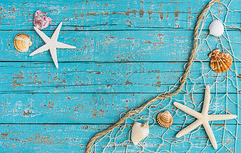 海星和海壳在绿绿木木底的渔网上捕捞 海滩 船甲板图片