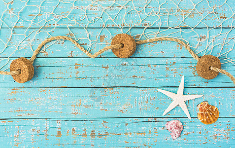 夏季背景 有海星 贝壳和渔网装饰图片