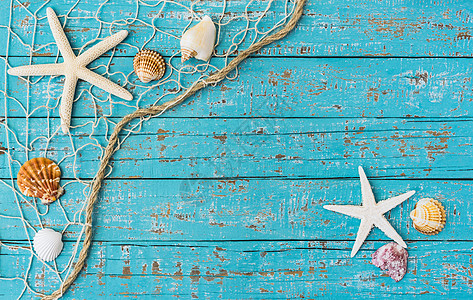 夏季背景 鱼网装饰中有海星和贝壳 绿松石色 夏天图片