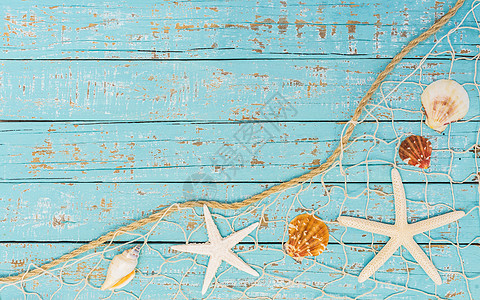 夏季背景 鱼网装饰中有海星和贝壳 海滩 捕鱼网图片