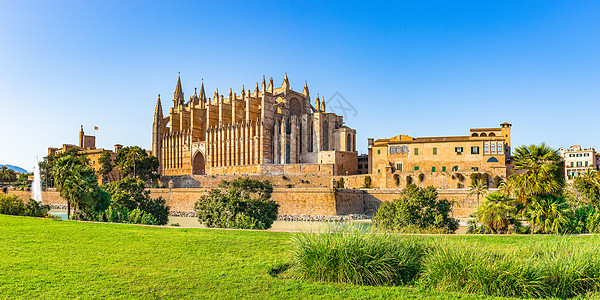 西班牙 帕尔马-德马洛卡市 拉苏大教堂图片
