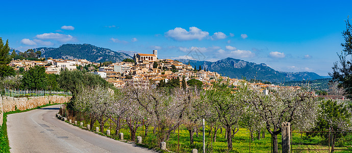 西班牙马赫卡岛 塞尔瓦村的自然景观 美丽的春天风景之美图片