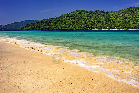 印尼海滩 海洋 旅行 水 天蓝色 海浪 海岸 海景 叶子图片