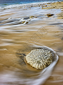 海滨上的珊瑚石 海岸 热带 季节 海浪 卵石 放松图片