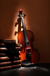 近书的violin 优雅 舞蹈 艺术性 作曲家 歌曲 笔记图片