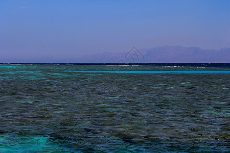 红海 埃及 达哈布 水 海滩 热的 旅行 沙姆沙伊赫 埃尔图片