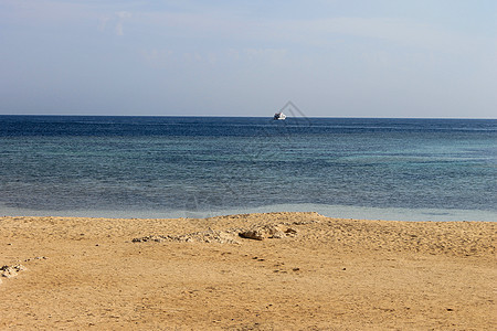 红海 埃及 达哈布 海滩 水 天空 美丽的 地平线 夏天图片